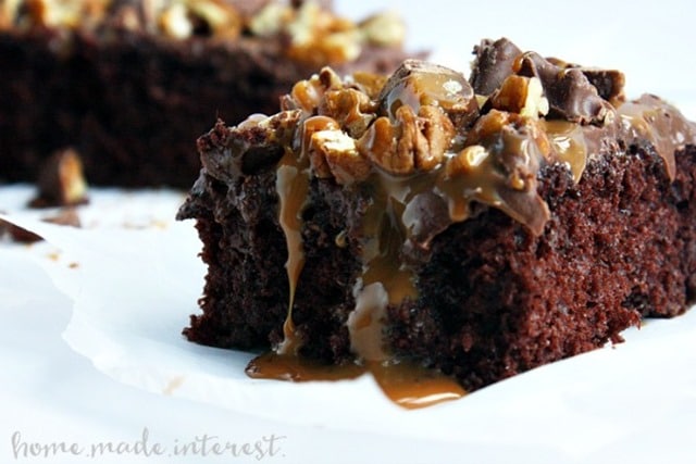 Turtle-Poke-Cake_HMI-final