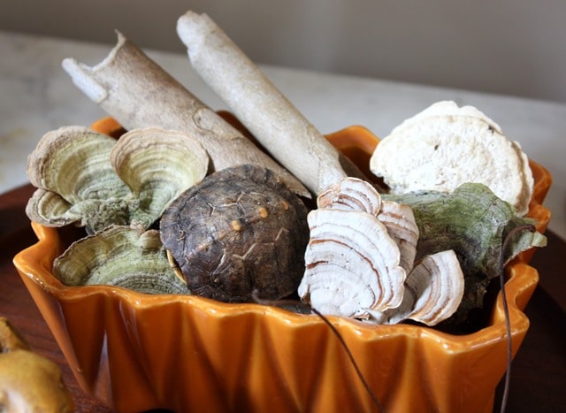 Fall Vignette - Shelf Fungi, bark, and a turtle shell in a vintage planter. I Fall Mantel and Living Room Decor - Get ideas for decorating your mantel and living room for fall. #fall #falldecor #fallvignette #falldecorating #vintage