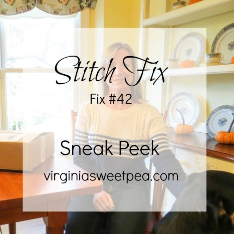 December Stitch Fix Sneak Peek (Fix #42)