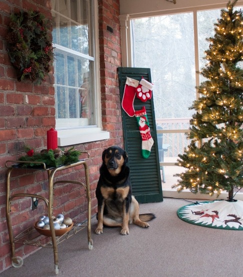 Christmas Outside and on the Porch