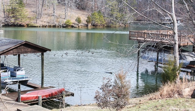 Sherman Skulina swimming at Smith Mountain Lake, VA