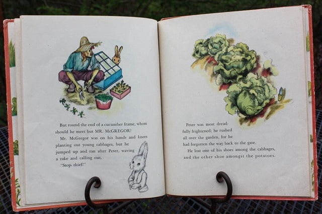 1942 The Tale of Peter Rabbit Book - Want to read the story and see the illustrations? It's all here! virginiasweetpea.com