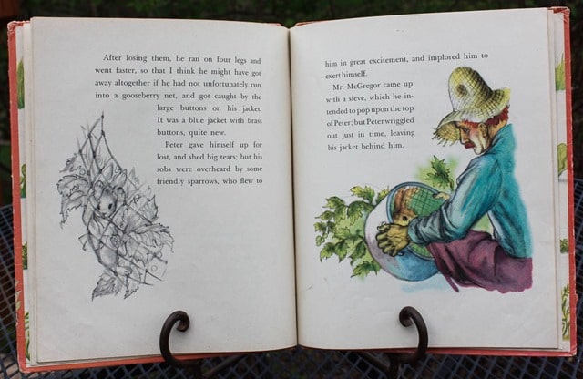 1942 The Tale of Peter Rabbit Book - Want to read the story and see the illustrations? It's all here! virginiasweetpea.com