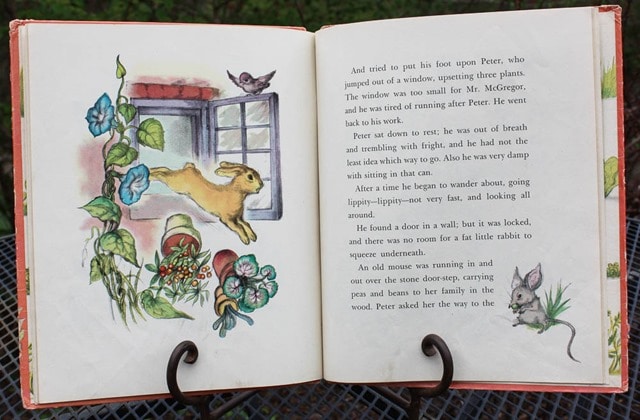 1942 The Tale of Peter Rabbit Book - Want to read the story and see the illustrations? It's all here! virginiasweetpea.com