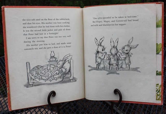 1942 The Tale of Peter Rabbit Book - Want to read the story and see the illustrations? It's all here! virginiasweetpea.com