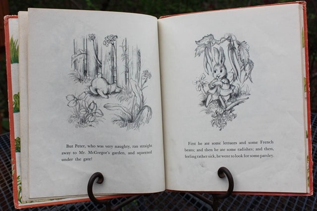 1942 The Tale of Peter Rabbit Book - Want to read the story and see the illustrations? It's all here! virginiasweetpea.com