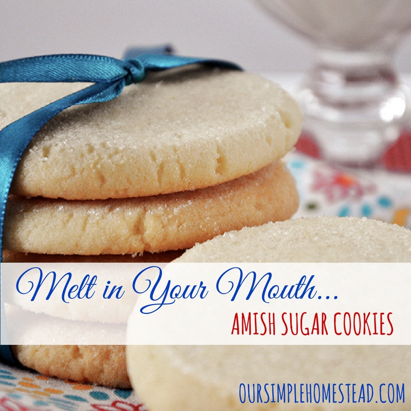 Amish Sugar Cookies