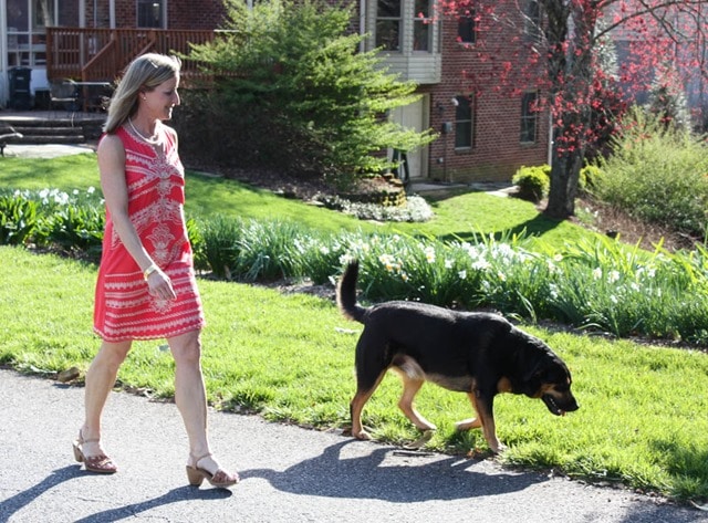 Stitch Fix Review for April 2017 - Skies are Blue Leonna Embroidered Dress - virginiasweetpea.com