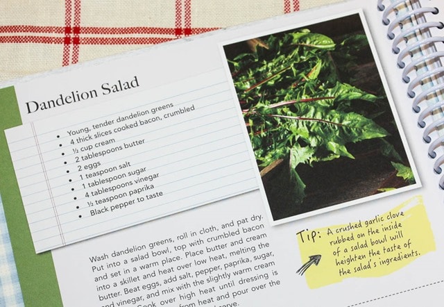 Amish Community Cookbook
