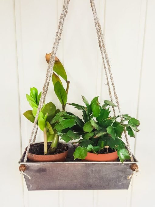 DIY hanging Planter