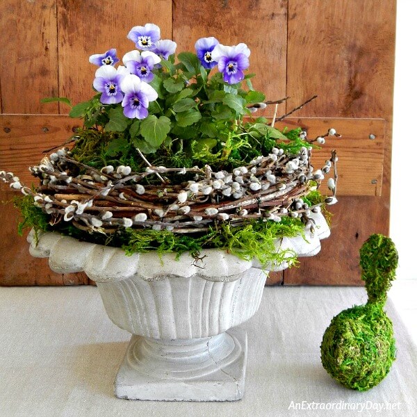 Pretty Pansy Vignette