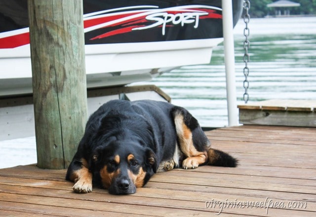 Sherman Skulina at Smith Mountain Lake