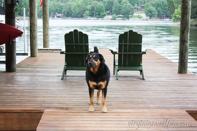 Sherman Skulina at Smith Mountain Lake