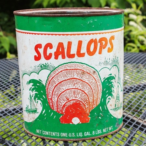 Vintage Scallops Can - virginiasweetpea.com