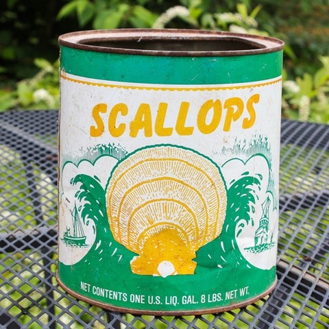 Vintage Scallops Can - virginiasweetpea.com