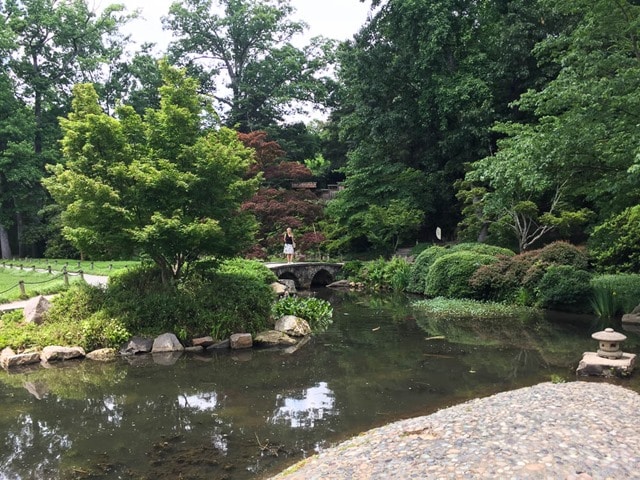 Japanese Gardens at Maymont in Richmond, VA - virginiasweeptea.com