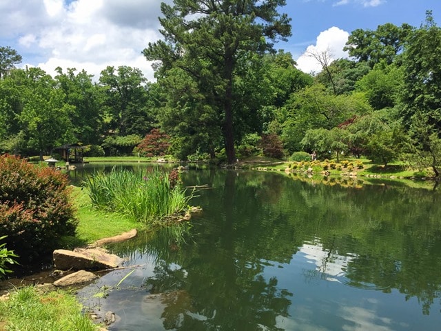 Japanese Gardens at Maymont in Richmond, VA - virginiasweeptea.com