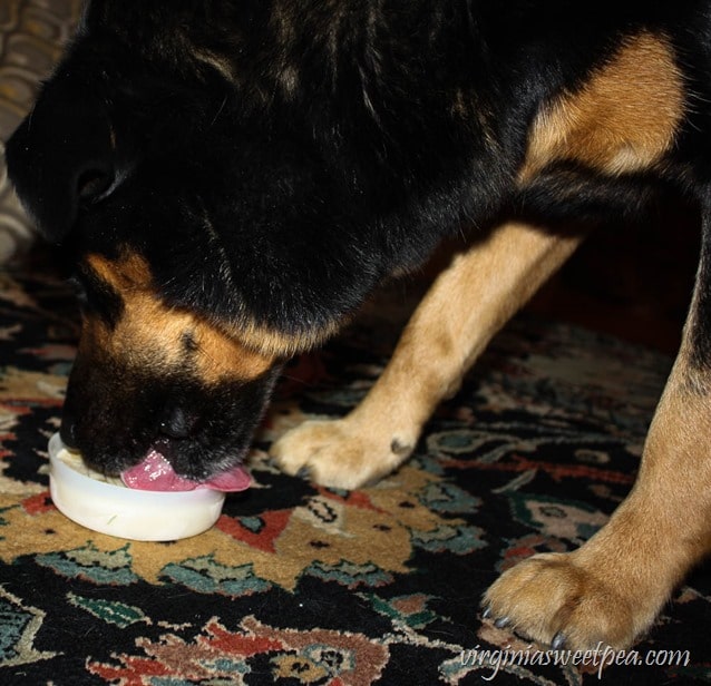 How to Make Frozen Dog Treats - Copycat Frosty Paws! virginiasweetpea.com