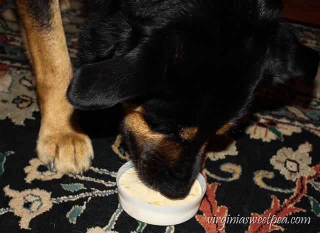 How to Make Frozen Dog Treats - Copycat Frosty Paws! virginiasweetpea.com