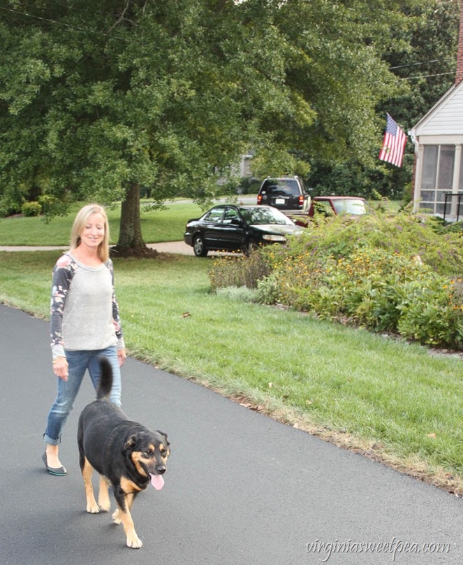 Stitch Fix September 2017 - Pink Clover Delino Knit Top and Kut from the Kloth Kate Boyfriend Jean - virginiasweetpea.com