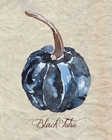 Watercolor_Black_Futsu_Pumpkin_1024x