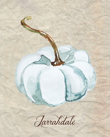 Watercolor_Jarrahdale_Pumpkin_1024x