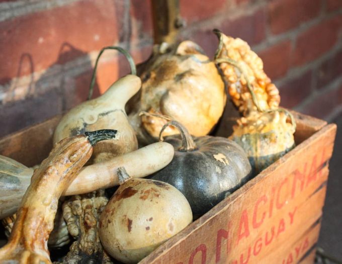 Dried Gourds in a Vintage Wooden Crate