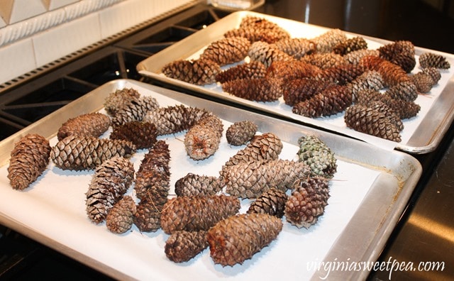 Bake Pine Cones to Kill Insects