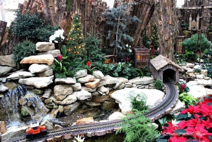 Meijer Gardens in Grand Rapids, MI decorated for Christmas