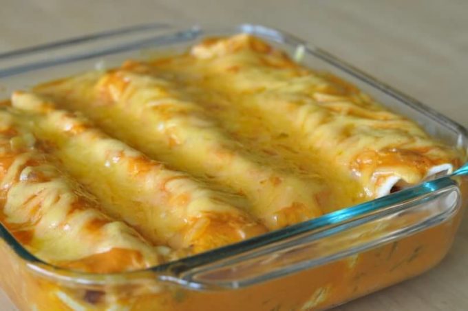 Cheesy Chicken Enchilada Recipe 