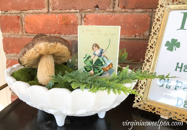 St. Patrick's Day Vignette - A milk glass compote holds a vintage St. Patrick's Day postcard, moss covered "stones", and faux ferns. virginiasweetpea.com #stpatricksday #stpatricksdaydecor