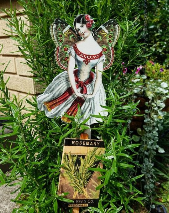 Lovely Garden Sprite - Best of the Weekend Feature for July 20, 2018