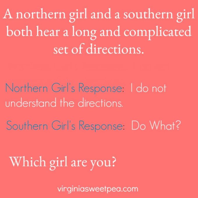 Which Team are You on? #funnymeme #meme #southerngirl #northerngirl 