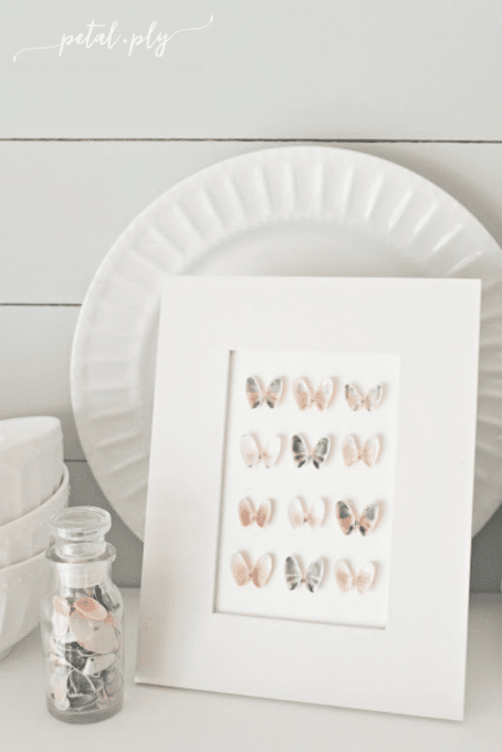 How to Make Seashell Specimen Art - Best of the Best Coastal DIY Decor Round-up. Get over a dozen coastal project decor ideas that you can make for your home. #coastal #coastaldecor #coastaldiy