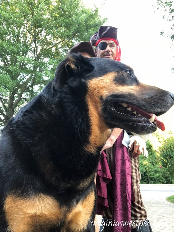 Pirate Days at Smith Mountain Lake - Sherman Skulina photo bomb #smithmountainlake #sml #piratedays #smlpiratedays #shermanskulina