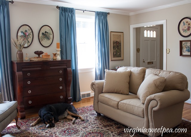 Fall Decor in the Living Room with Gold, Orange and Brown #fall #falldecor #vintage #vintagedecor