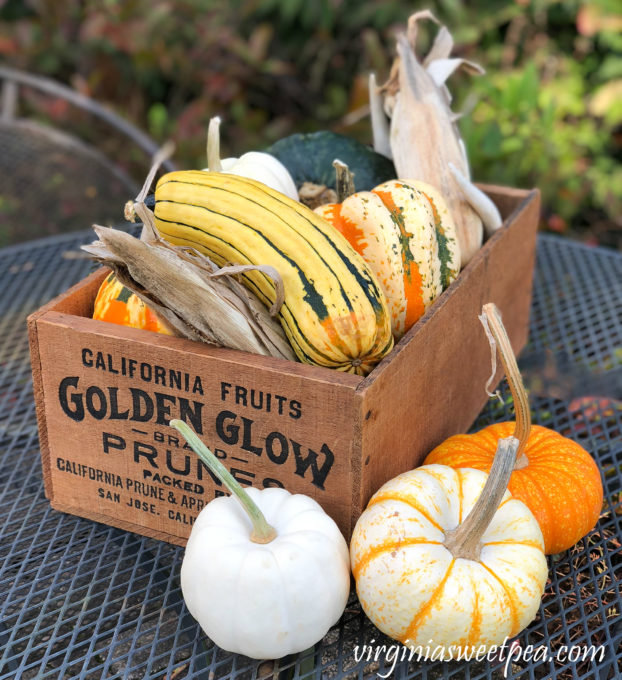 Fall Gourds and Pumpkins in a Vintage Box #fall #fallcenterpiece #pumpkins #gourds