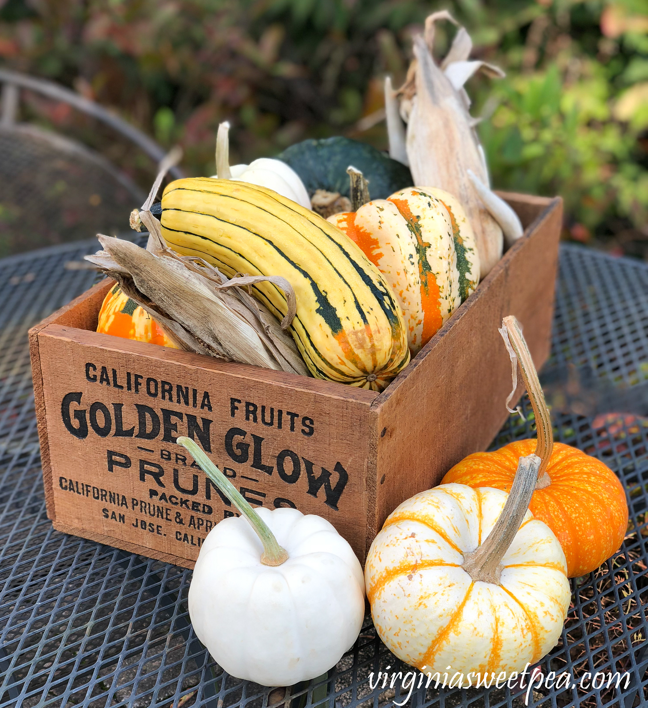 Porches Decorated for Fall