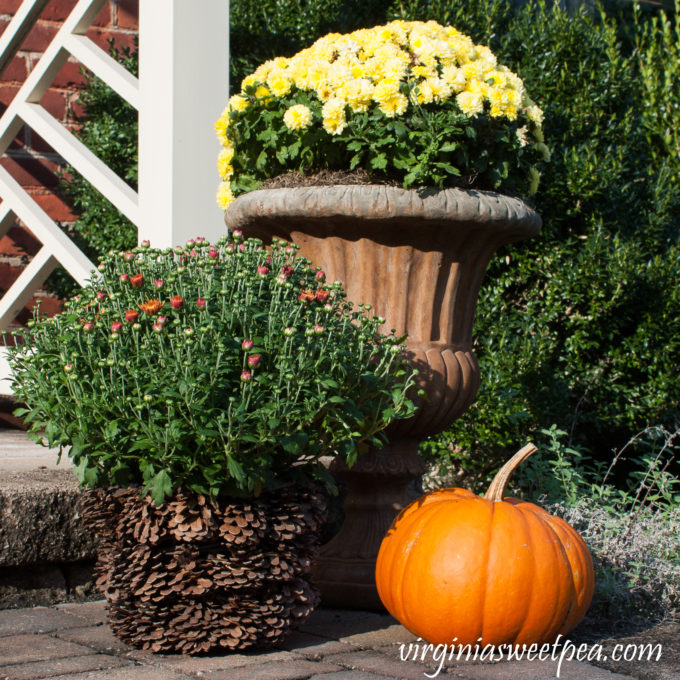 Fall Decorating Outdoors #fall #fallporch #fallporchdecor #falloutdoors