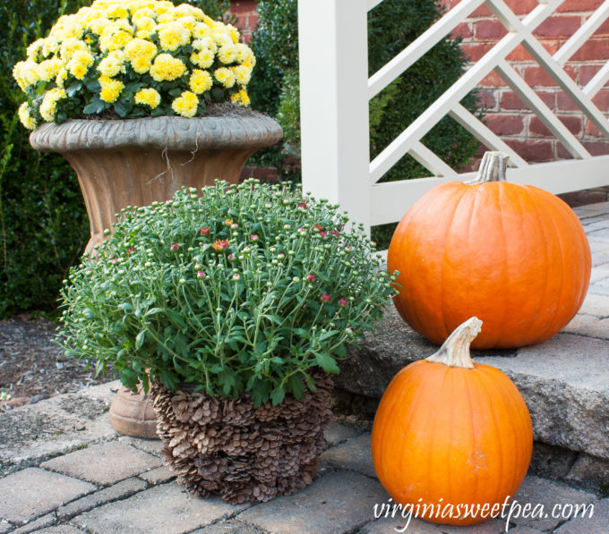 Fall Decorating Outdoors #fall #fallporch #fallporchdecor #falloutdoors