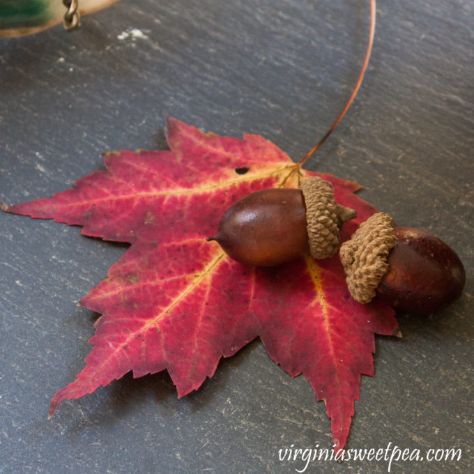 Sugar Maple Leaf from Vermont used in a Fall Vignette