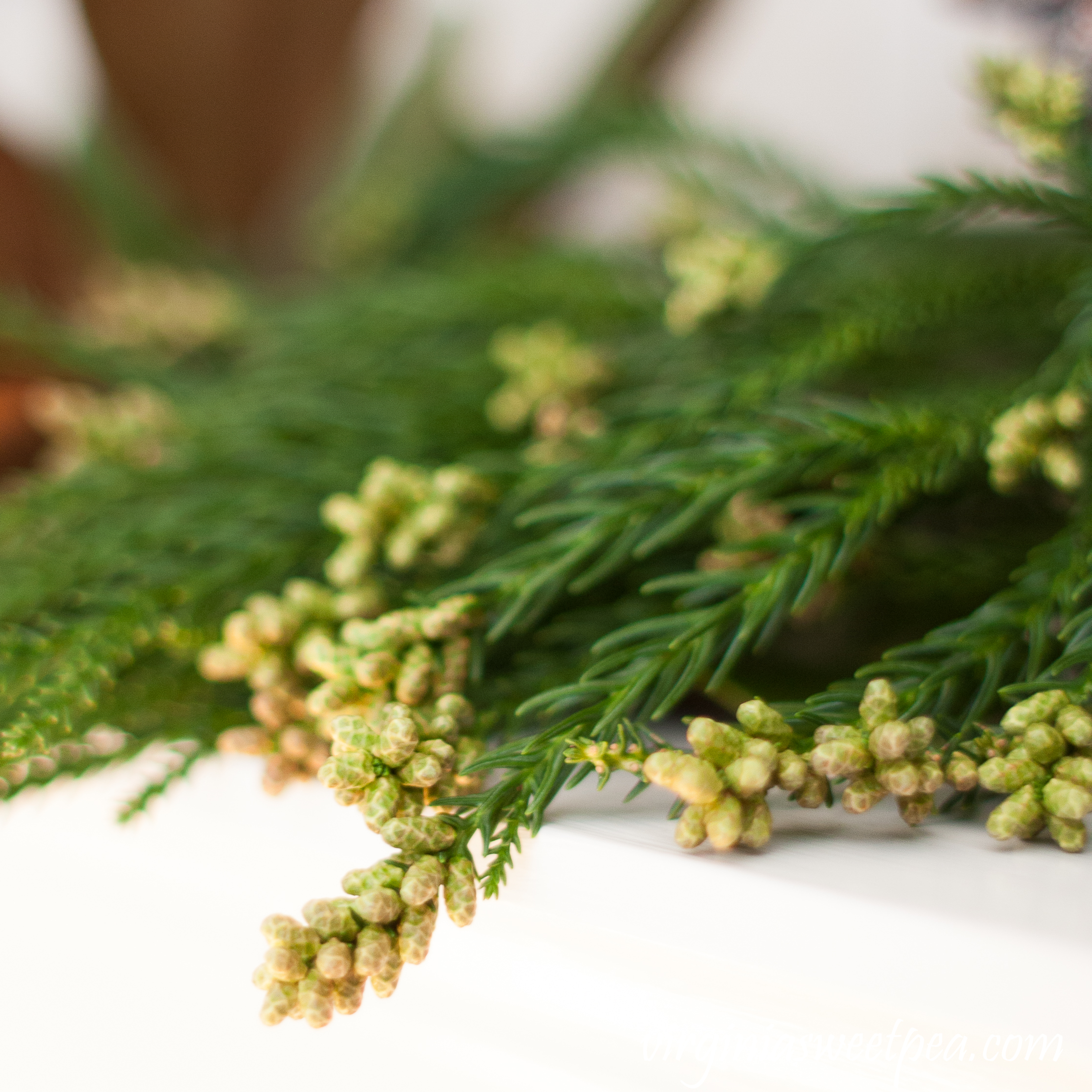 Traditional Southern Christmas Mantel - Japanese Cryptomeria #christmas #christmashomedecor #christmasmantel #christmasideas #favoritechristmasideas