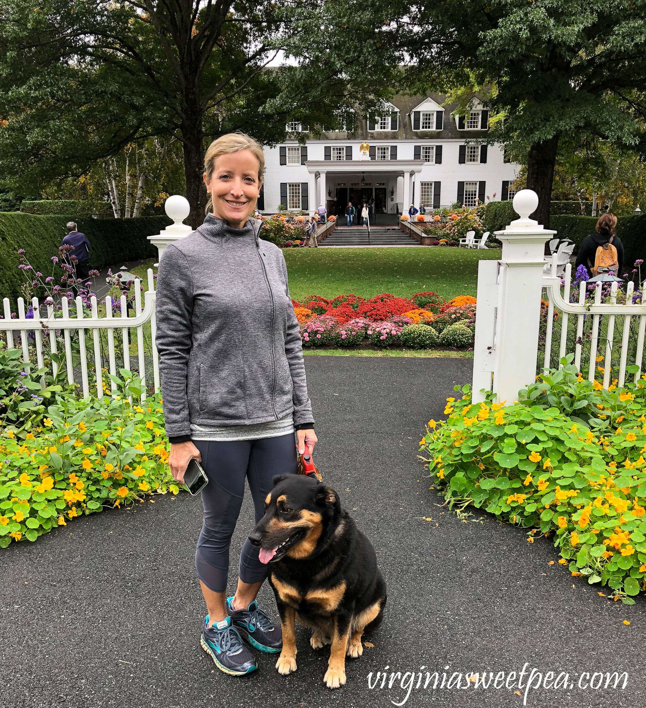 Sherman Skulina enjoying The Woodstock Inn in Woodstock, Vermont #thewoodstockinn #woodstockvermont #vermont #fallinvermont #travel