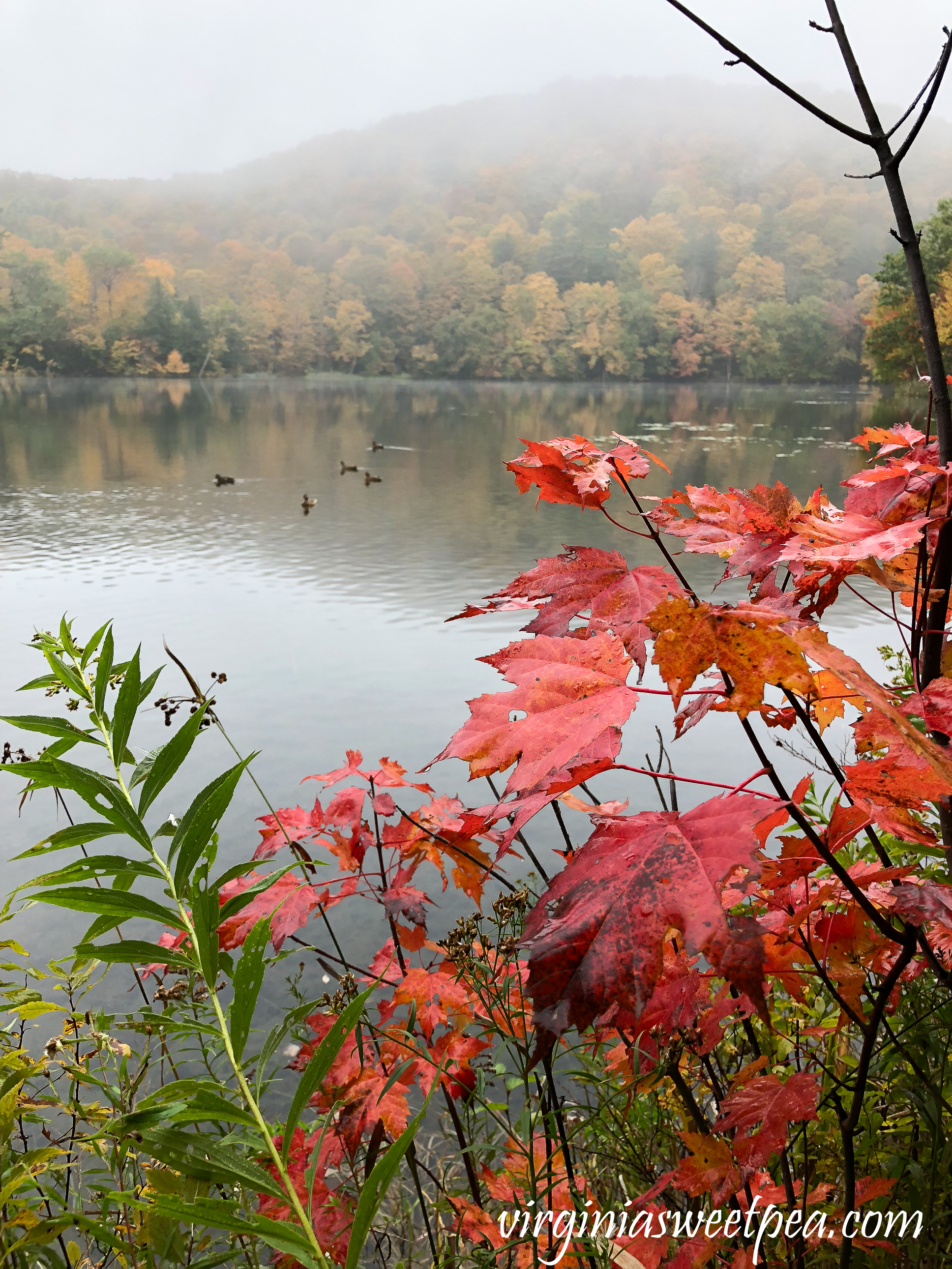 Hiking Mount Tom in Woodstock, Vermont. #shermanskulina #fall #fallinvermont #vermont #woodstockvermont