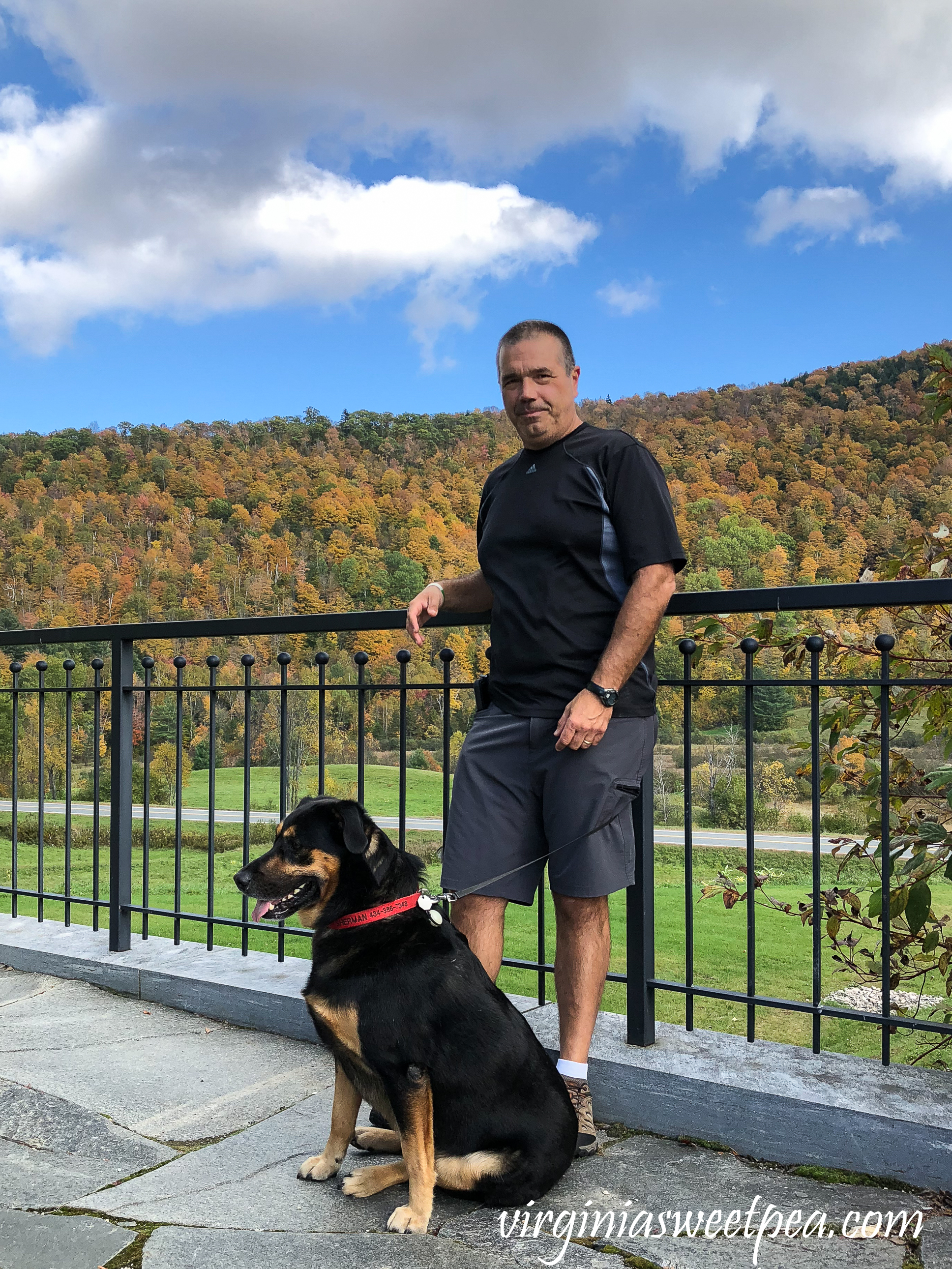 Sherman Skulina enjoying Vermont in Fall #shermanskulina #vermont #vermontfall