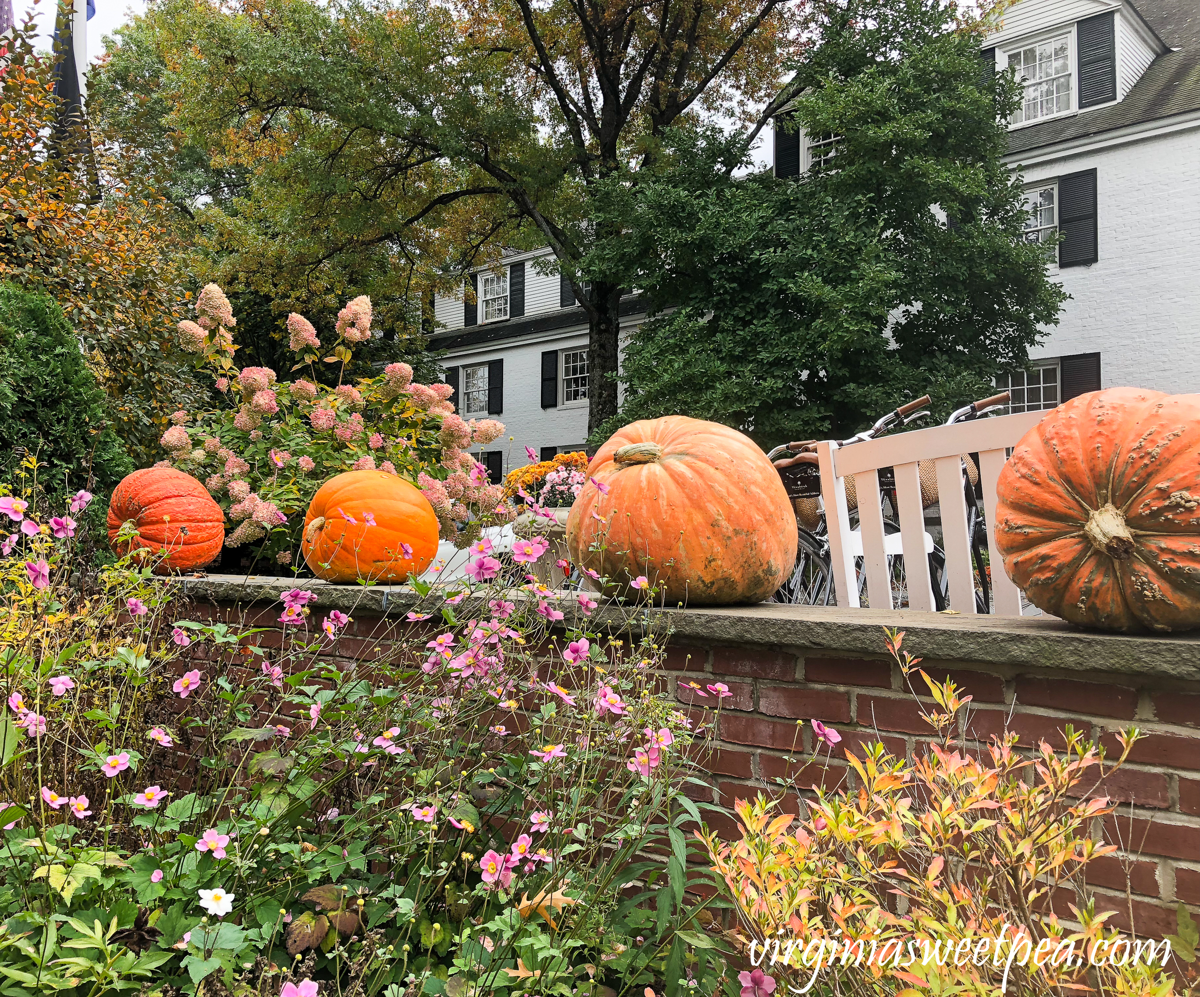 Fall at The Woodstock Inn in Woodstock, Vermont #vermont #fall #woodstockvermont #travel