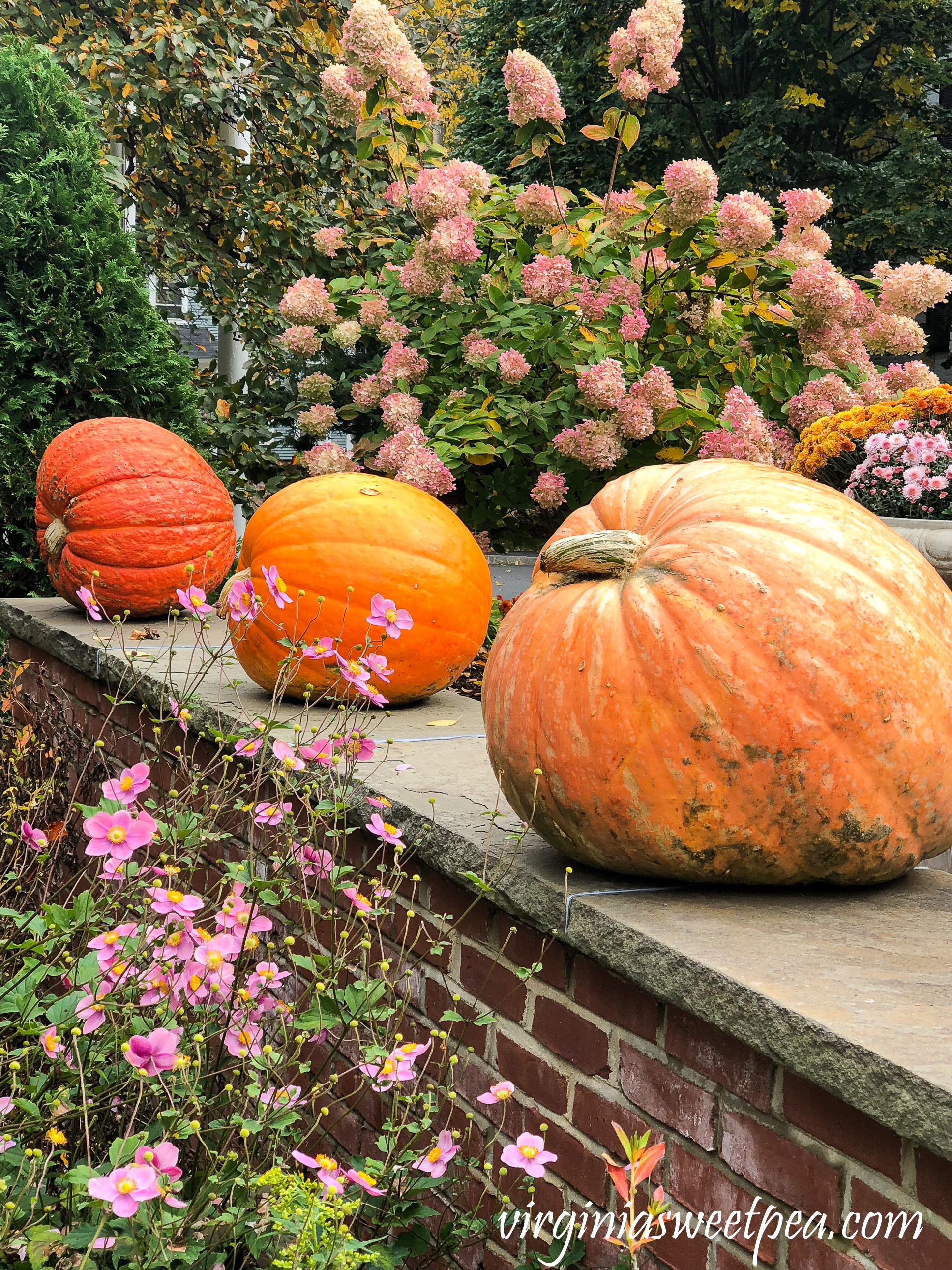 Fall at The Woodstock Inn in Woodstock, Vermont #vermont #fall #woodstockvermont #travel