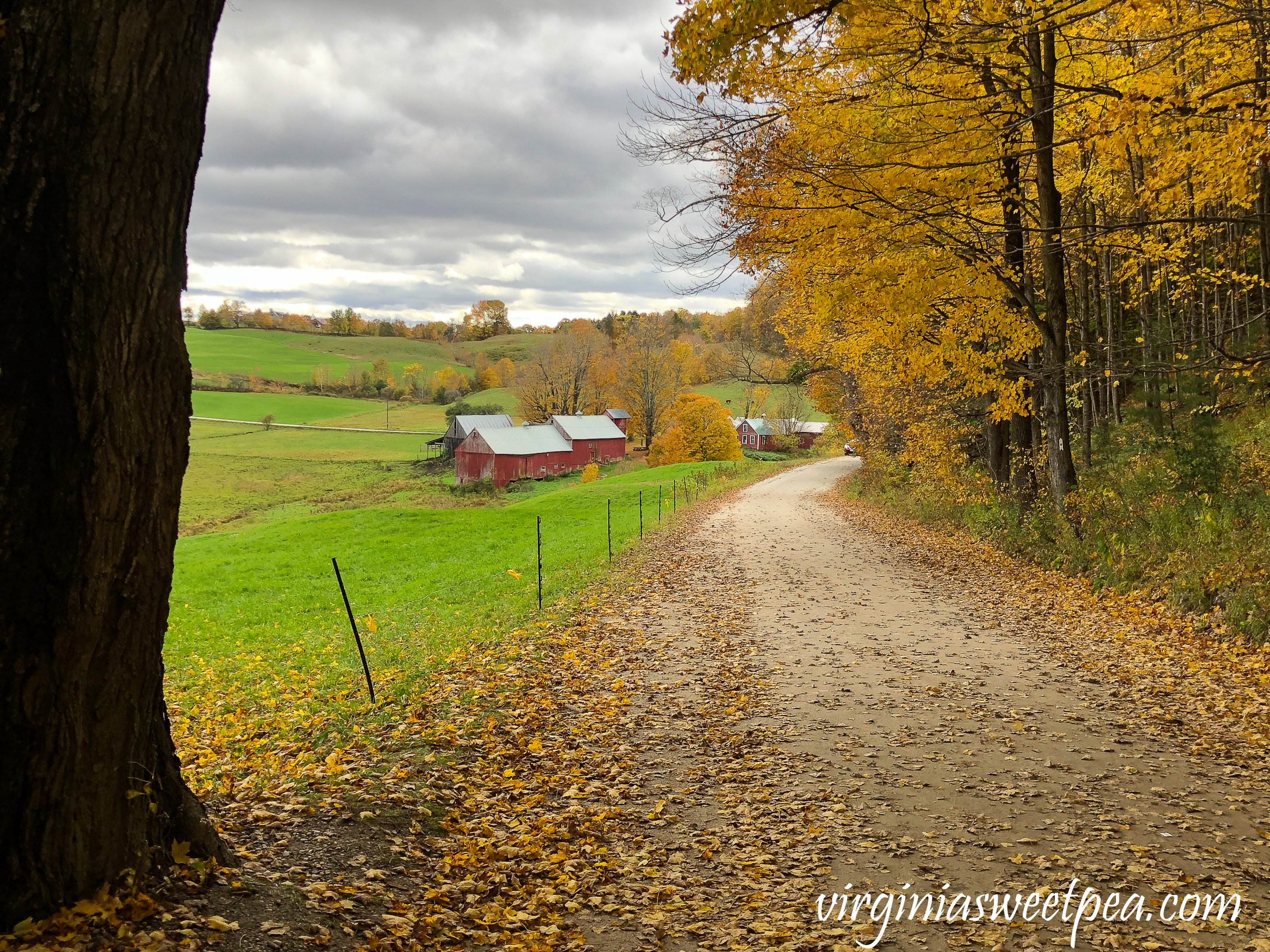 The Jenny Farm in Vermont #vermont #fallinvermont #fall