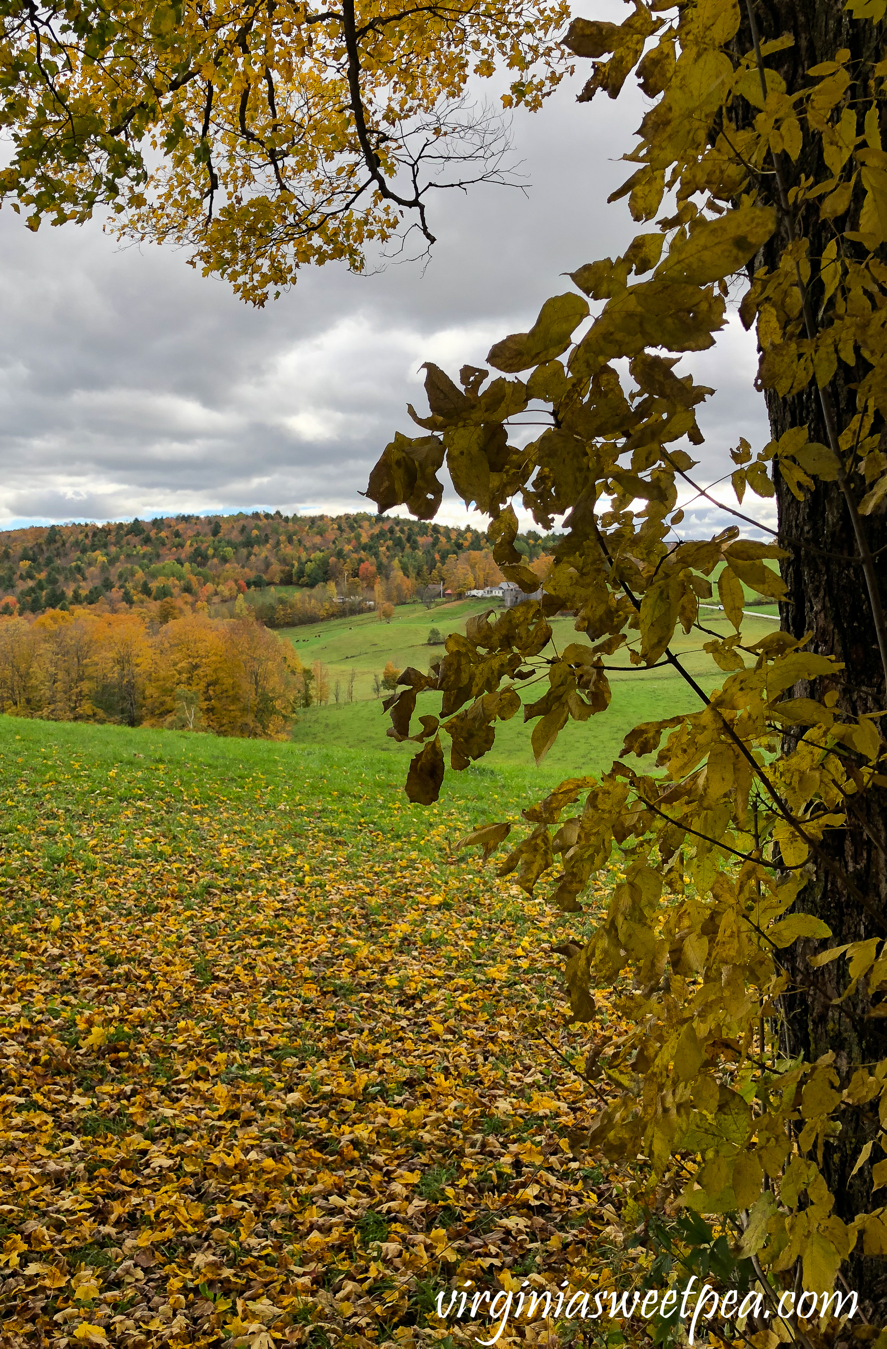 The Jenny Farm in Vermont #vermont #fallinvermont #fall