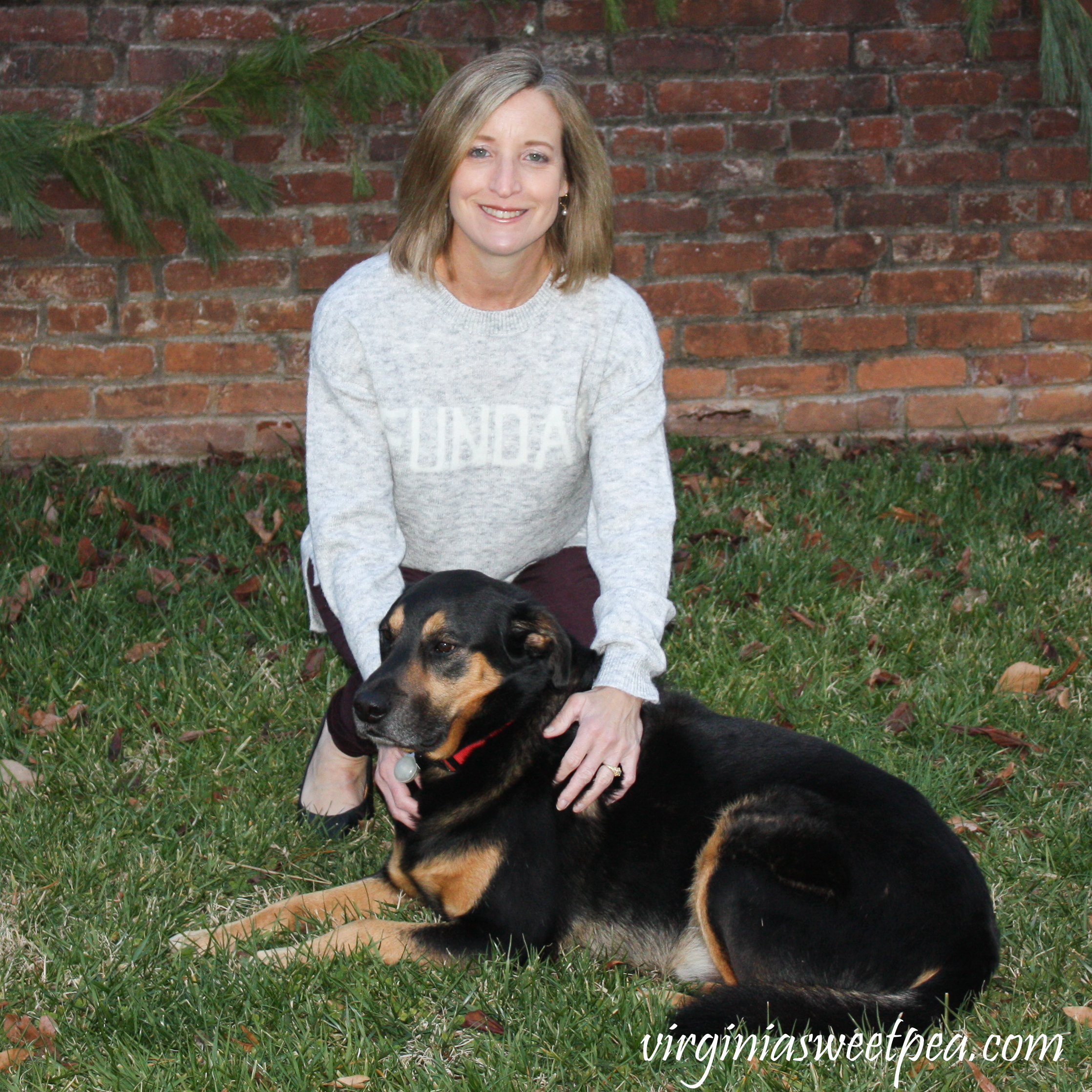 Stitch Fix Review for January 2019 - RD Style Viora Funday Graphic Pullover